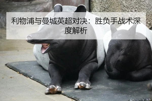 利物浦与曼城英超对决：胜负手战术深度解析